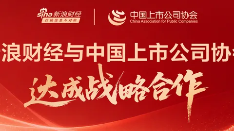 浓眉：拥有萨尔与艾顿，新赛季成功在望五大攻略解析